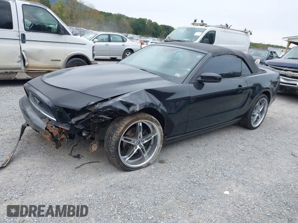 2013 Ford Mustang V6 with VIN 1ZVBP8EM3D5211391, listed as a IAAI auction lot 40585527 with 203,555 mi miles and . Bid and sale history available at DreamBid. Image 2.