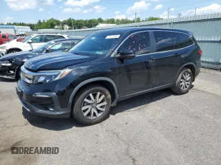 2019 Honda Pilot EX-L with VIN 5FNYF5H48KB003092, listed as a Copart auction lot 59117505 with Not provided miles and Salvage title. Bid and sale history available at DreamBid. Image 1.