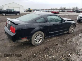 2006 Ford Mustang Standard with VIN 1ZVFT80N265241966, listed as a Copart auction lot 51570835 with 191,147 mi miles and Salvage Title. Bid and sale history available at carsss.com. Image 3.