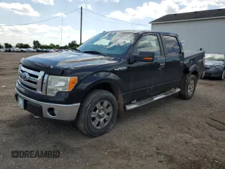 2009 Ford F-150 XL with VIN 1FTRW14839FA29661, listed as a Copart auction lot 63276475 with 207,022 mi miles and Clean title. Bid and sale history available at DreamBid. Image 1.