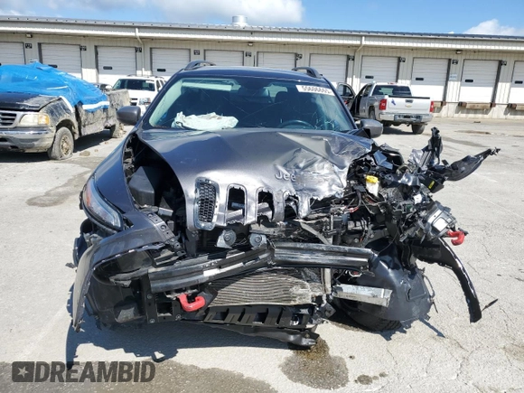 2017 Jeep Cherokee Trailhawk with VIN 1C4PJMBSXHW600230, listed as a Copart auction lot 55606665 with Not provided miles and Salvage title. Bid and sale history available at DreamBid. Image 5.