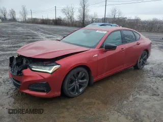 2021 Acura TLX w/A-Spec Package with VIN 19UUB6F53MA800181, listed as a Copart auction lot 50939925 with 122,280 mi miles and Salvage Title. Bid and sale history available at carsss.com. Image 1.