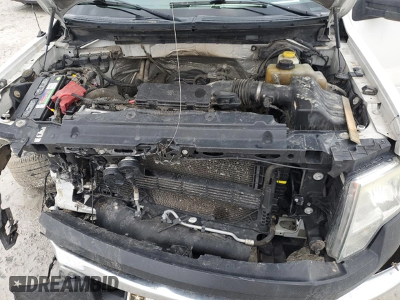 2014 Ford F-150 XL with VIN 1FTFX1EF4EKD82862, listed as a Copart auction lot 46857695 with Not provided miles and Clean title. Bid and sale history available at DreamBid. Image 11.