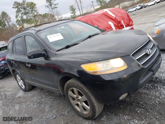 2008 Hyundai Santa Fe SE with VIN 5NMSH13E68H223444, listed as a IAAI auction lot 41731764 with 227,628 mi miles. Bid and sale history available at carsss.com. Image 13.