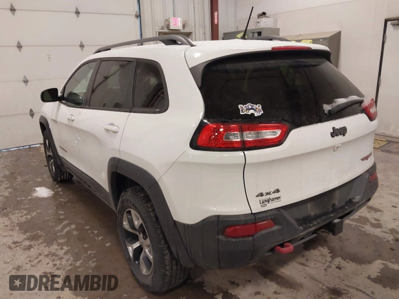 2014 Jeep Cherokee Trailhawk with VIN 1C4PJMBS5EW159912, listed as a IAAI auction lot 41538254 with 166,955 mi miles. Bid and sale history available at carsss.com. Image 3.