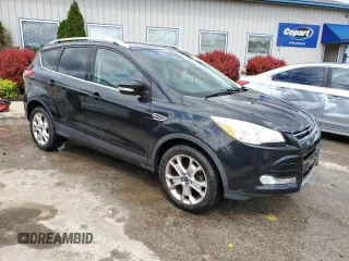 2015 Ford Escape Titanium with VIN 1FMCU0JX5FUA24210, listed as a Copart auction lot 57270855 with 115,613 mi miles and Salvage title. Bid and sale history available at DreamBid. Image 4.
