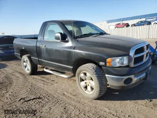 2005 Dodge Ram 1500 SLT with VIN 1D7HU16D85J599924, listed as a Copart auction lot 43427875 with 0 mi miles and Salvage Title. Bid and sale history available at carsss.com. Image 4.