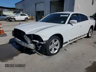 2013 Dodge Charger SE with VIN 2C3CDXBG5DH623754, listed as a Copart auction lot 46846175 with 187,841 mi miles and Salvage Title. Bid and sale history available at carsss.com. Image 1.