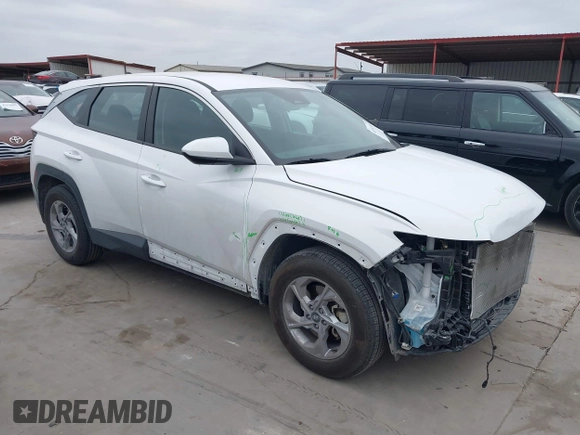 2024 Hyundai Tucson SE with VIN 5NMJA3DE7RH320552, listed as a IAAI auction lot 41381385 with 17,077 mi miles and . Bid and sale history available at DreamBid. Image 1.