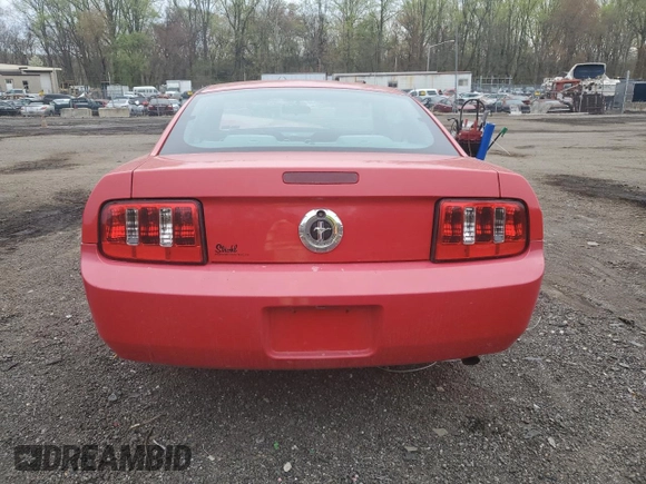 2005 Ford Mustang Deluxe with VIN 1ZVFT80N855115559, listed as a Copart auction lot 52287755 with 0 mi miles and Salvage Title. Bid and sale history available at carsss.com. Image 6.
