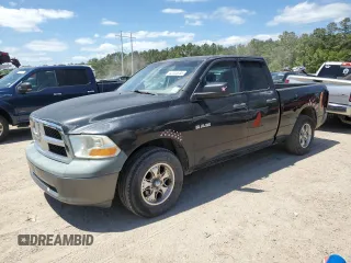 2010 Dodge 1500 ST with VIN 1D7RB1GK5AS141284, listed as a Copart auction lot 53103935 with 244,913 mi miles and Clean Title. Bid and sale history available at DreamBid. Image 1.