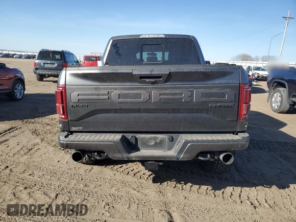 2020 Ford F-150 Raptor with VIN 1FTFW1RG3LFA16497, listed as a Copart auction lot 48388875 with Not Provided miles and Salvage Title. Bid and sale history available at carsss.com. Image 6.