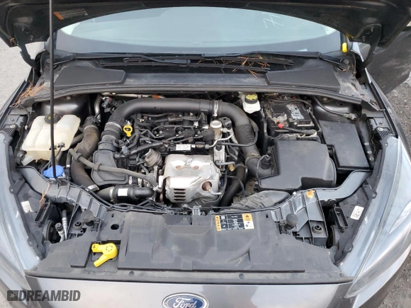 2017 Ford Focus SE with VIN 1FADP3FE9HL234039, listed as a Copart auction lot 53701985 with 68,129 mi miles and Clean Title. Bid and sale history available at carsss.com. Image 11.