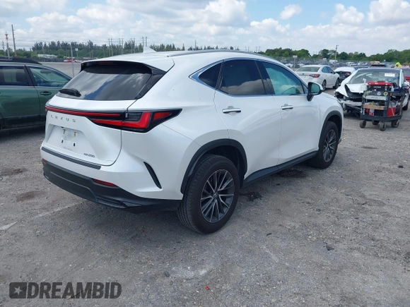 2024 Lexus NX 250 с VIN 2T2ADCAZ9RC015022, выставлен на аукционе IAAI как лот 42053721 с пробегом 11 458 миль миль и . История ставок и продаж доступна на DreamBid. Изображение 4.
