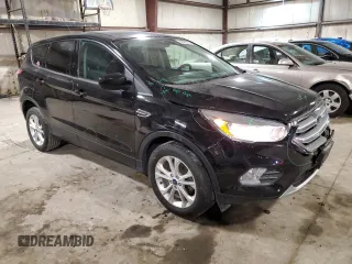 2017 Ford Escape SE with VIN 1FMCU0GD1HUD91766, listed as a Copart auction lot 45478855 with 123,818 mi miles and Salvage Title. Bid and sale history available at carsss.com. Image 4.