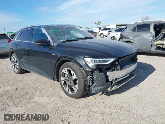 2022 Audi e-tron Premium with VIN WA1AAAGE6NB030134, listed as a IAAI auction lot 41209620 with 27,848 mi miles. Bid and sale history available at carsss.com. Image 1.