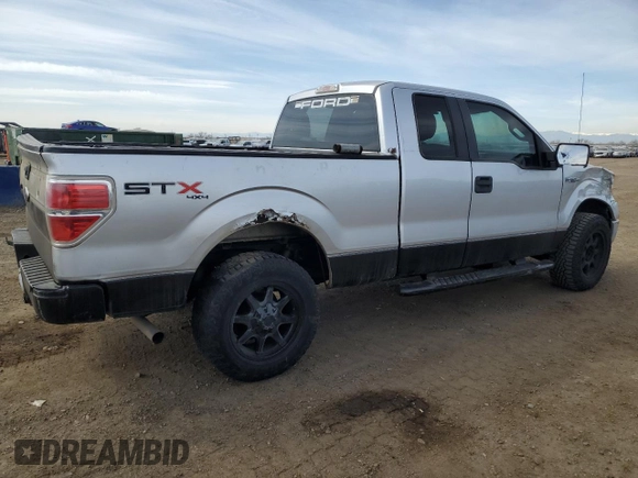 2010 Ford F-150 XL with VIN 1FTEX1EW1AFA91959, listed as a Copart auction lot 48774095 with 308,100 mi miles and Salvage Title. Bid and sale history available at carsss.com. Image 3.