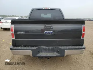 2010 Ford F-150 XL with VIN 1FTEW1E84AFD14774, listed as a Copart auction lot 60530435 with 150,299 mi miles and Salvage title. Bid and sale history available at DreamBid. Image 6.