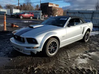 2006 Ford Mustang GT Deluxe with VIN 1ZVHT85H665218024, listed as a Copart auction lot 43781385 with 176,560 mi miles and Salvage Title. Bid and sale history available at carsss.com. Image 1.