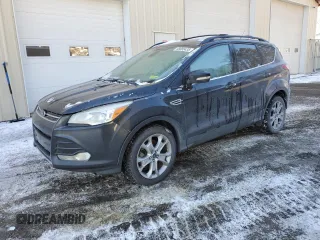 2013 Ford Escape SEL with VIN 1FMCU9H96DUD30275, listed as a Copart auction lot 88585435 with 317,668 mi miles and Clean title. Bid and sale history available at DreamBid. Image 1.