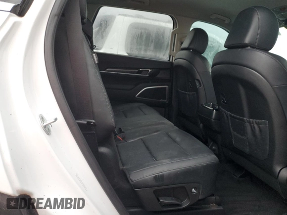 2023 Kia Telluride LX with VIN 5XYP24GC9PG329168, listed as a Copart auction lot 76594484 with Not provided miles and Salvage title. Bid and sale history available at DreamBid. Image 11.