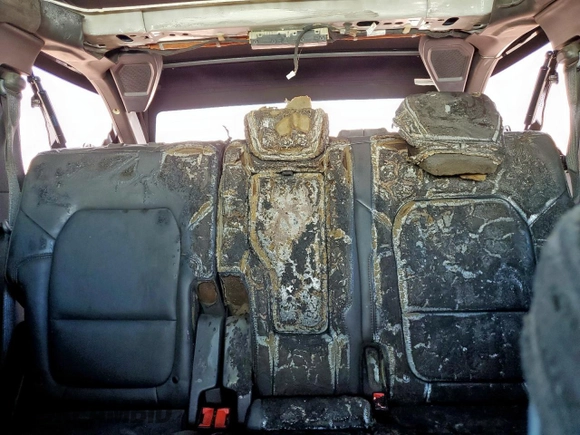 2024 Ford Bronco Badlands with VIN 1FMEE9BP3RLA25956, listed as a Copart auction lot 62846675 with 2,740 mi miles and Salvage title. Bid and sale history available at DreamBid. Image 10.