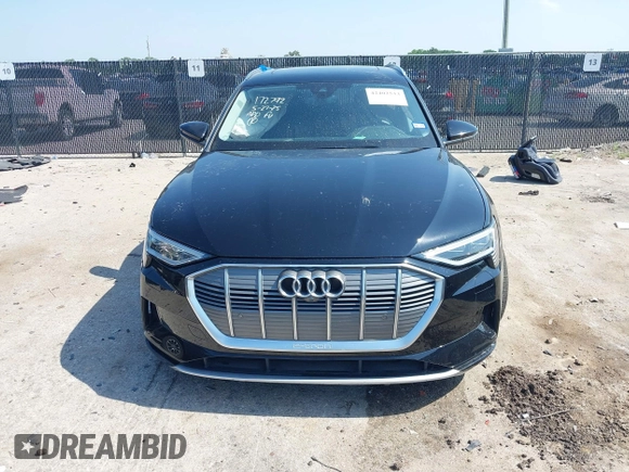 2022 Audi e-tron Premium Plus with VIN WA1LABGE6NB022565, listed as a IAAI auction lot 42402533 with 25,075 mi miles and . Bid and sale history available at DreamBid. Image 13.