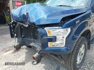 2017 Ford F-150 XL with VIN 1FTEX1E86HKE46742, listed as a IAAI auction lot 42591991 with 117,520 mi miles and . Bid and sale history available at DreamBid. Image 6.