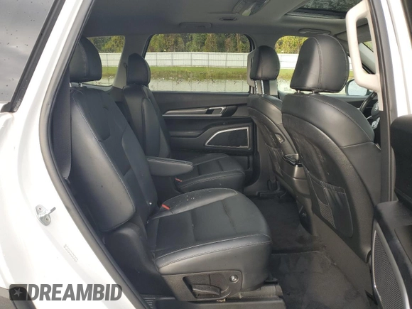 2020 Kia Telluride S with VIN 5XYP6DHC1LG004043, listed as a Copart auction lot 53561515 with 50,232 mi miles and Non Repairable. Bid and sale history available at DreamBid. Image 11.