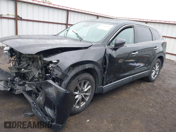 2019 Mazda CX-9 Touring with VIN JM3TCBCY6K0300248, listed as a IAAI auction lot 42310992 with 112,707 mi miles and . Bid and sale history available at DreamBid. Image 17.