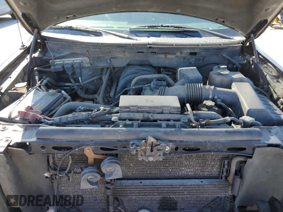 2010 Ford F-150 XL with VIN 1FTEX1C86AFA31700, listed as a Copart auction lot 53160385 with Not Provided miles and Clean Title. Bid and sale history available at carsss.com. Image 11.