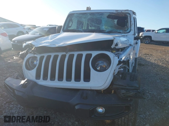 2021 Jeep Wrangler Unlimited Sahara with VIN 1C4HJXEG1MW597905, listed as a IAAI auction lot 41327138 with Not provided miles and . Bid and sale history available at DreamBid. Image 6.
