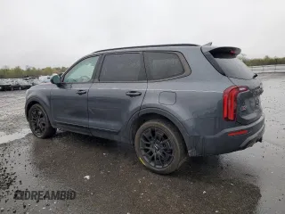 2022 Kia Telluride EX with VIN 5XYP3DHC2NG255732, listed as a Copart auction lot 52604795 with 32,117 mi miles and Salvage title. Bid and sale history available at DreamBid. Image 2.