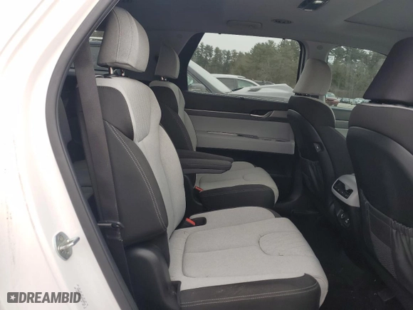 2022 Hyundai Palisade SEL with VIN KM8R3DHEXNU349913, listed as a Copart auction lot 86847684 with 65,153 mi miles and Salvage Title. Bid and sale history available at carsss.com. Image 11.