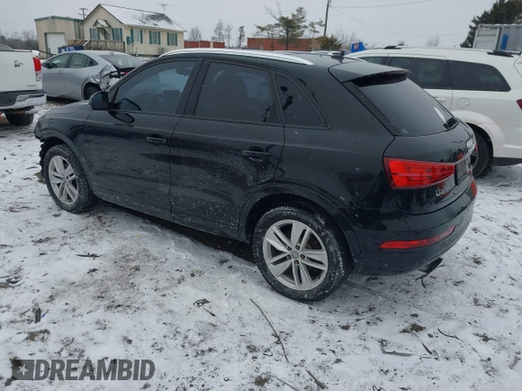 2017 Audi Q3 Premium with VIN WA1BCCFSXHR012345, listed as a IAAI auction lot 41589844 with 125,044 mi miles and . Bid and sale history available at DreamBid. Image 3.
