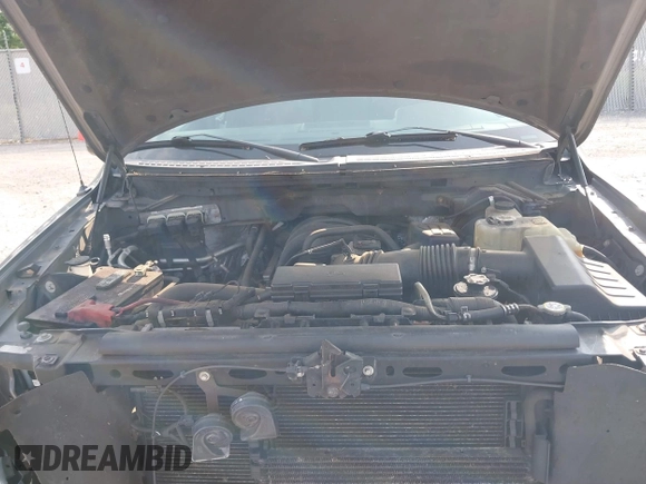 2010 Ford F-150 XL with VIN 1FTEX1E83AFD70461, listed as a IAAI auction lot 42438962 with 234,709 mi miles and . Bid and sale history available at DreamBid. Image 10.