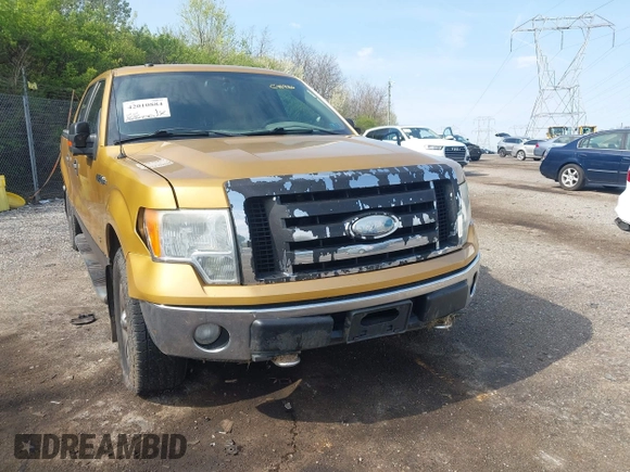 2009 Ford F-150 XL with VIN 1FTPW14V49KC41926, listed as a IAAI auction lot 42010884 with 132,529 mi miles. Bid and sale history available at carsss.com. Image 6.