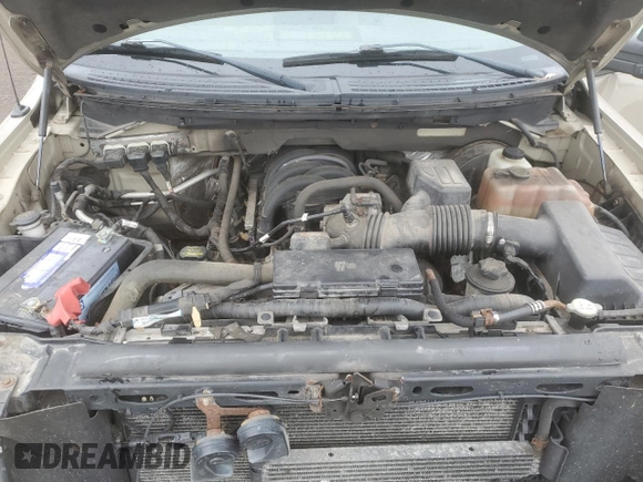 2009 Ford F-150 XL with VIN 1FTRW14869FA71127, listed as a Copart auction lot 81552544 with Not provided miles and Salvage title. Bid and sale history available at DreamBid. Image 11.