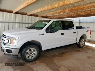 2018 Ford F-150 XL with VIN 1FTEW1EG9JKC27371, listed as a Copart auction lot 62522595 with 245,490 mi miles and Clean title. Bid and sale history available at DreamBid. Image 1.