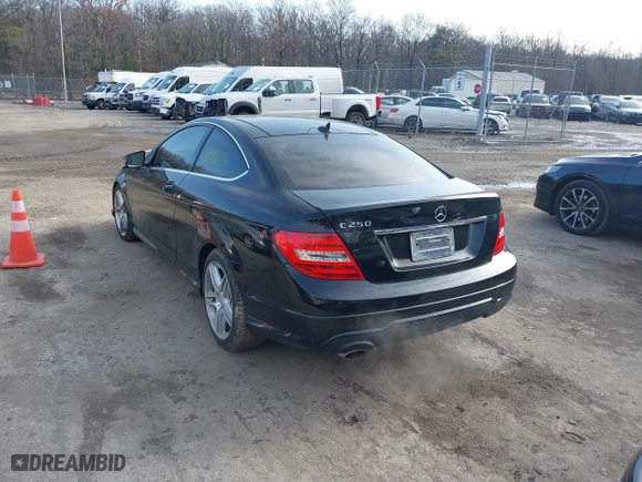 2013 Mercedes-Benz C-Class C 250 with VIN WDDGJ4HB2DG074824, listed as a IAAI auction lot 41095296 with 178,561 mi miles. Bid and sale history available at carsss.com. Image 3.