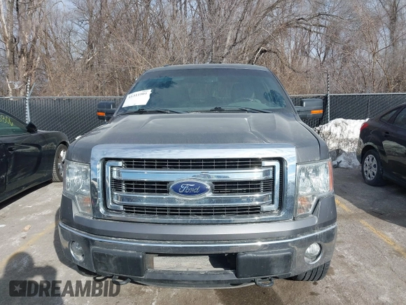 2013 Ford F-150 XL с VIN 1FTFX1EF1DKD47713, выставлен на аукционе IAAI как лот 41311901 с пробегом 137 061 миль миль и . История ставок и продаж доступна на DreamBid. Изображение 12.