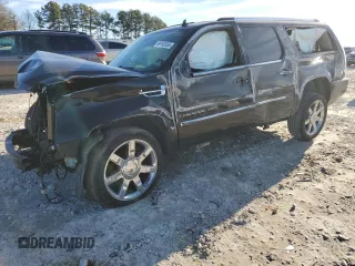 2009 Cadillac Escalade ESV с VIN 1GYFK26209R252083, выставлен на аукционе Copart как лот 89192035 с пробегом 261 115 миль миль и Списание • Salvage title. История ставок и продаж доступна на DreamBid. Изображение 1.