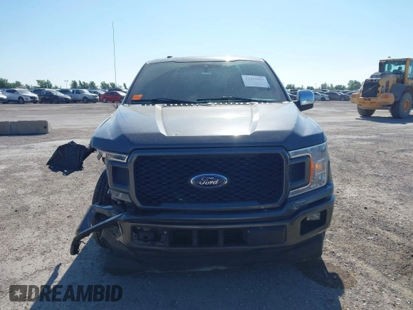 2019 Ford F-150 XL z VIN 1FTEW1CP4KKF07493, wystawiony jako IAAI lot #42333027 z przebiegiem 120 789 mil mil oraz . Historia ofert i sprzedaży dostępna na DreamBid. Obrazek 12.