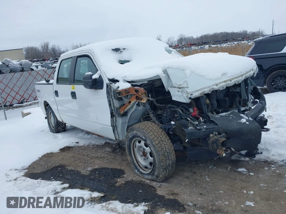 2013 Ford F-150 XL with VIN 1FTFW1EF1DFC14283, listed as a IAAI auction lot 41641563 with 0 mi miles. Bid and sale history available at carsss.com. Image 1.