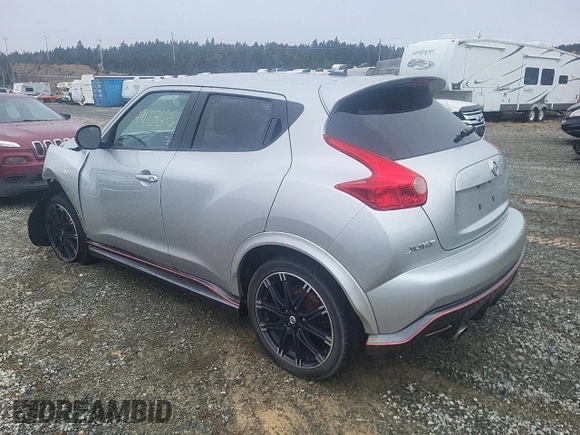 2013 Nissan Juke S with VIN JN8AF5MVXDT219143, listed as a Copart auction lot 49117665 with Not Provided miles and Salvage Title. Bid and sale history available at DreamBid. Image 2.