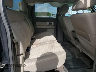 2010 Ford F-150 XL with VIN 1FTEW1C81AFA97042, listed as a Copart auction lot 56386715 with 403,734 mi miles and Salvage title. Bid and sale history available at DreamBid. Image 10.