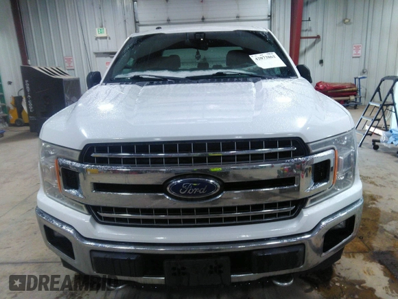 2018 Ford F-150 XL with VIN 1FTFW1EG9JFD55221, listed as a IAAI auction lot 42073862 with 184,281 mi miles and . Bid and sale history available at carsss.com. Image 6.