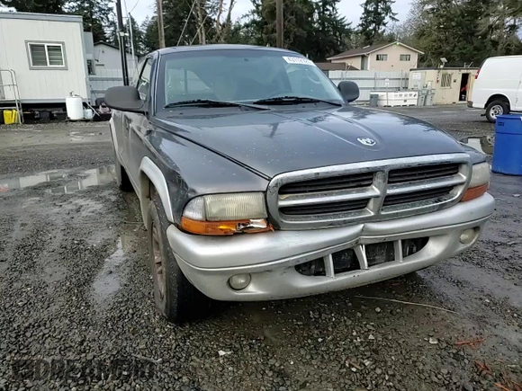 2003 Dodge Dakota SLT with VIN 1D7HL42X33S328572, listed as a Copart auction lot 43112125 with 0 mi miles and Salvage Title. Bid and sale history available at carsss.com. Image 10.