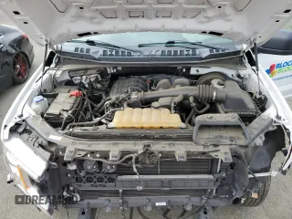 2019 Ford F-150 XL with VIN 1FTMF1CB9KKE81876, listed as a Copart auction lot 81753954 with 35,535 mi miles and Salvage title. Bid and sale history available at DreamBid. Image 11.