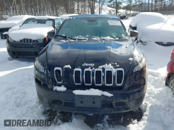 2017 Jeep Cherokee Sport with VIN 1C4PJMAB9HD215769, listed as a IAAI auction lot 41257530 with 110,935 mi miles. Bid and sale history available at carsss.com. Image 12.